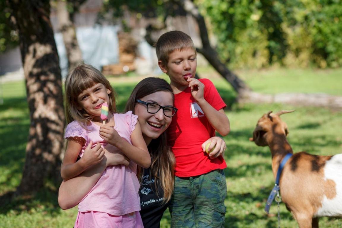 Kovacija Pri Kovacu Guest House Podvelka Екстериор снимка